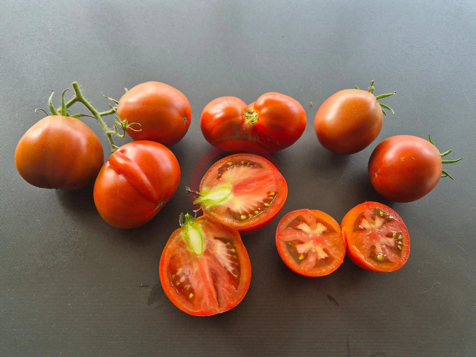 Bedouin DER TOMATENFLÜSTERER
