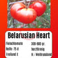 Belarusian Heart DER TOMATENFLÜSTERER