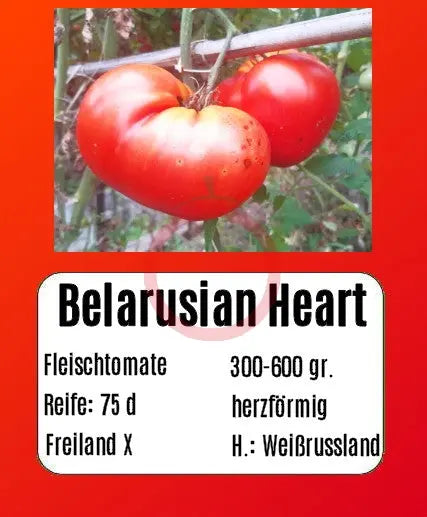 Belarusian Heart DER TOMATENFLÜSTERER