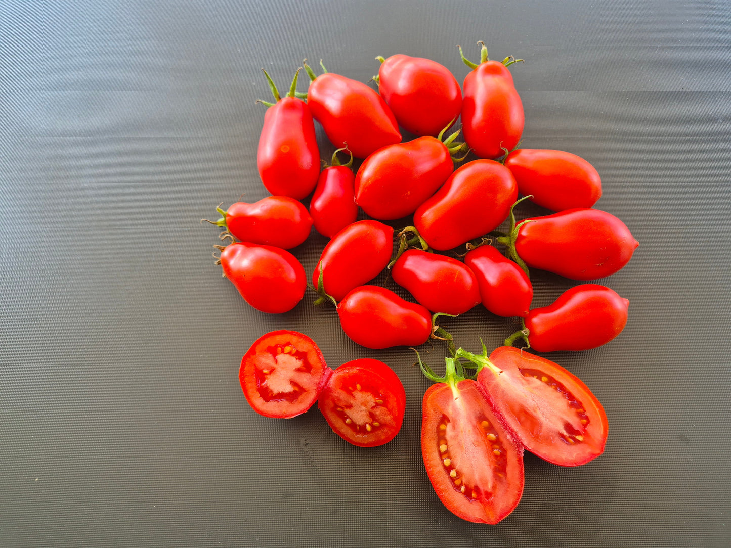 Belcher´s 5th Street Roma DER TOMATENFLÜSTERER