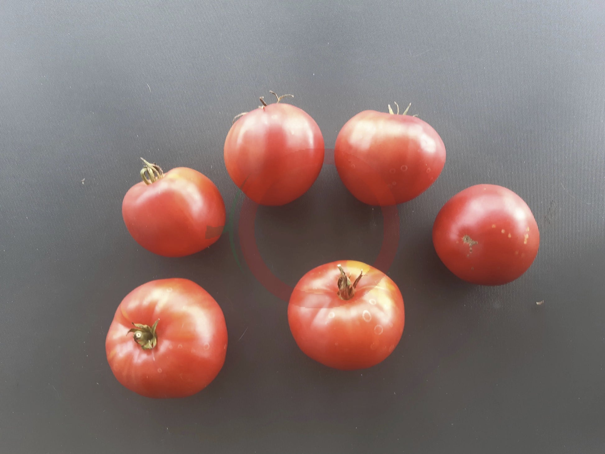 Belize Pink Heart DER TOMATENFLÜSTERER