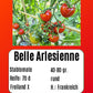 Belle Arlesienne DER TOMATENFLÜSTERER
