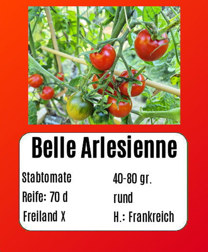 Belle Arlesienne DER TOMATENFLÜSTERER