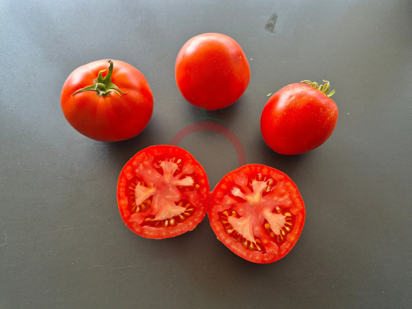 Belle Fille des Maraichers DER TOMATENFLÜSTERER