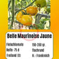 Belle Maurinoise Jaune DER TOMATENFLÜSTERER