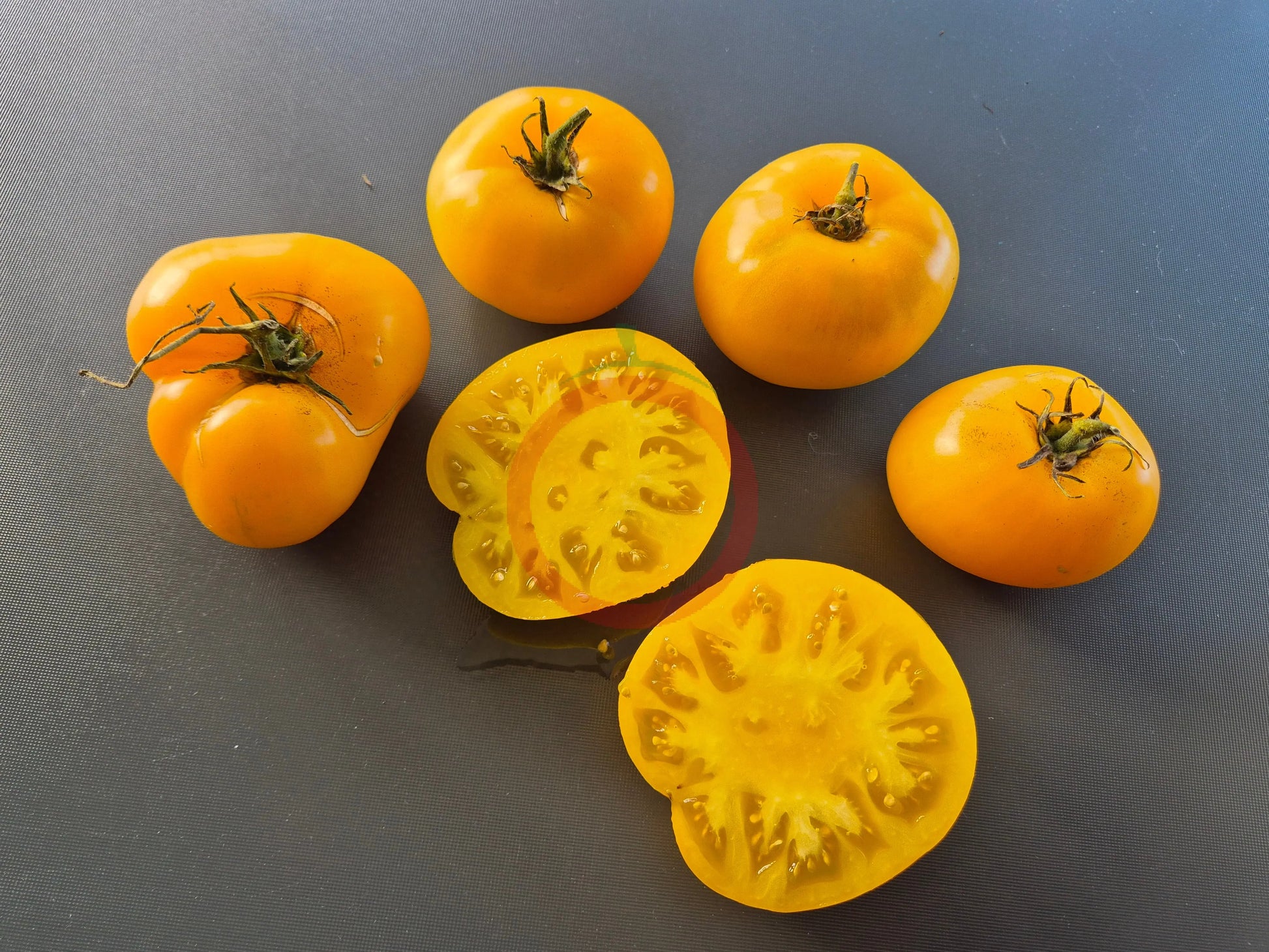 Belle Maurinoise Jaune DER TOMATENFLÜSTERER