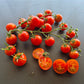 Benarys Gartenfreude DER TOMATENFLÜSTERER