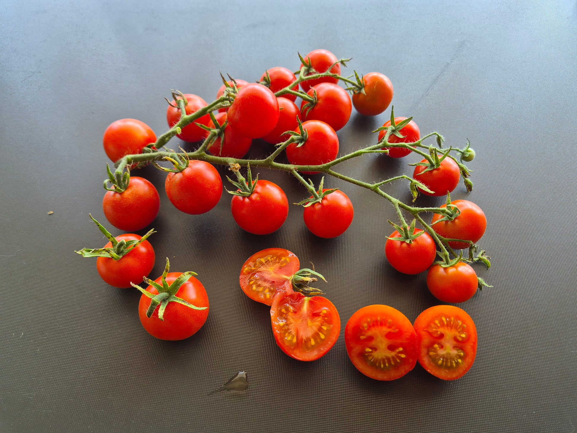 Benarys Gartenfreude DER TOMATENFLÜSTERER