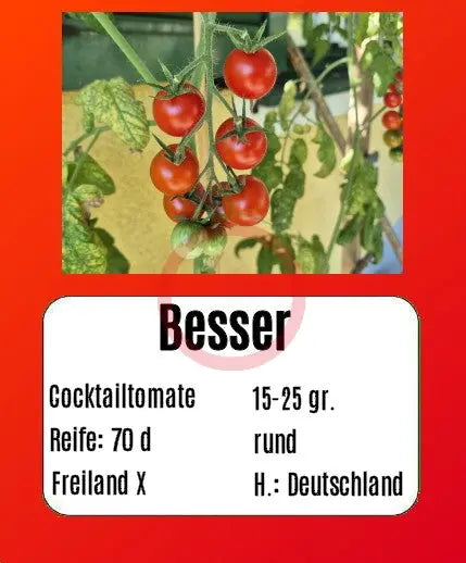 Besser DER TOMATENFLÜSTERER