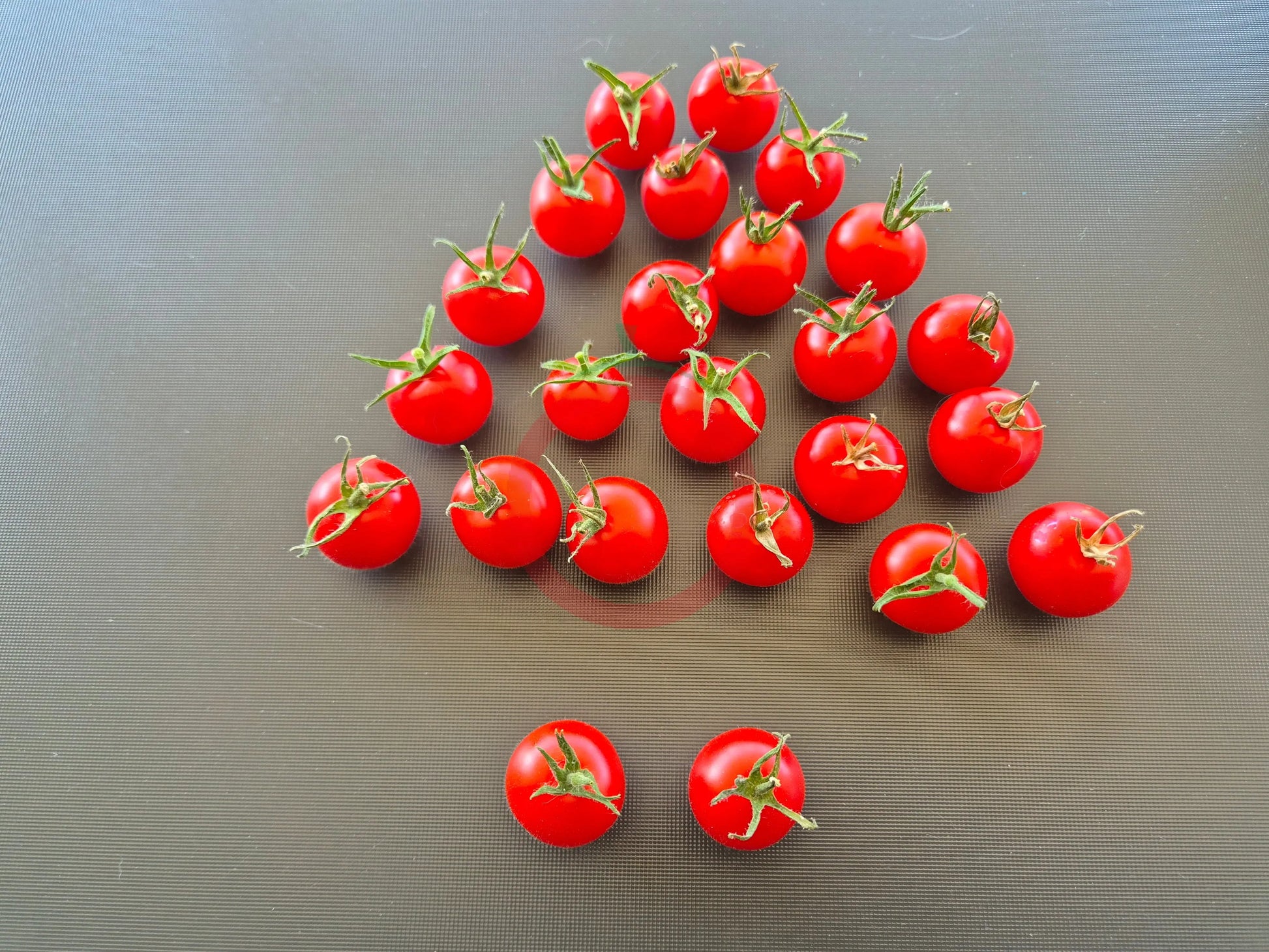 Besser DER TOMATENFLÜSTERER