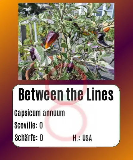 Between the Lines DER TOMATENFLÜSTERER