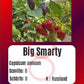 Big Smarty DER TOMATENFLÜSTERER