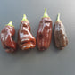 Big Sweet Chocolate DER TOMATENFLÜSTERER