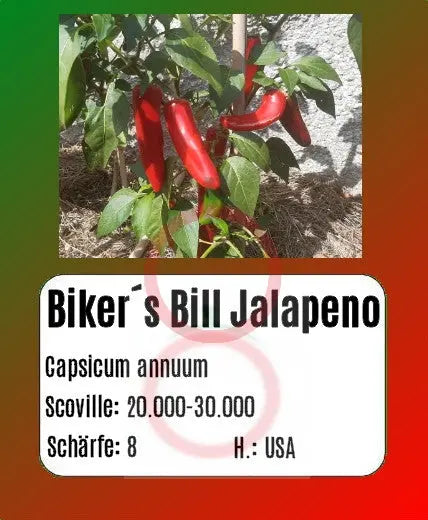 Biker´s Bill Jalapeno DER TOMATENFLÜSTERER