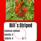 Bill´s Striped DER TOMATENFLÜSTERER