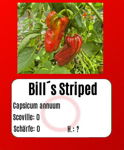 Bill´s Striped DER TOMATENFLÜSTERER