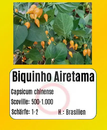 Biquinho Airetama DER TOMATENFLÜSTERER