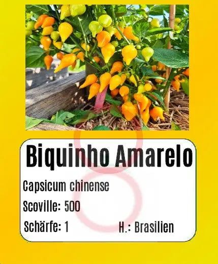 Biquinho Amarelo DER TOMATENFLÜSTERER