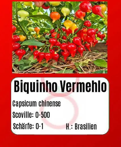 Biquinho Vermehlo DER TOMATENFLÜSTERER