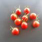 Bison DER TOMATENFLÜSTERER