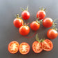 Bison DER TOMATENFLÜSTERER