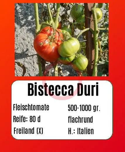 Bistecca Duri DER TOMATENFLÜSTERER