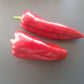 Bitola DER TOMATENFLÜSTERER