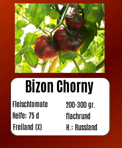 Bizon Chorny DER TOMATENFLÜSTERER