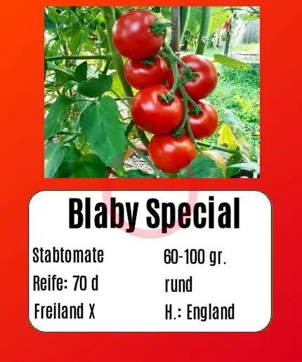 Blaby Special DER TOMATENFLÜSTERER