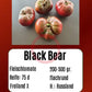 Black Bear DER TOMATENFLÜSTERER