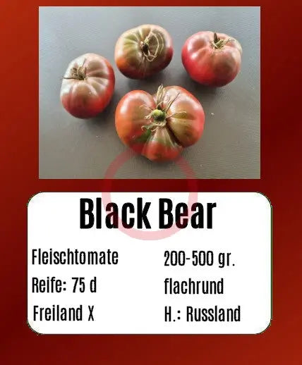 Black Bear DER TOMATENFLÜSTERER