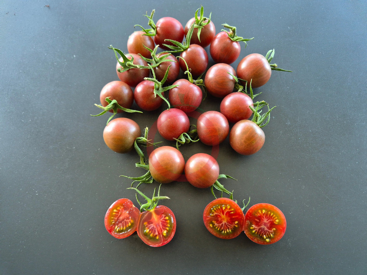 Black Cherry DER TOMATENFLÜSTERER