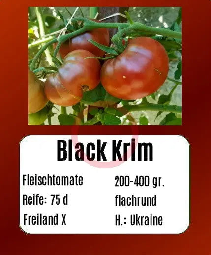 Black Krim DER TOMATENFLÜSTERER