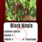 Black Magic DER TOMATENFLÜSTERER