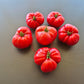 Black Mountain Pink DER TOMATENFLÜSTERER