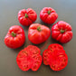 Black Mountain Pink DER TOMATENFLÜSTERER