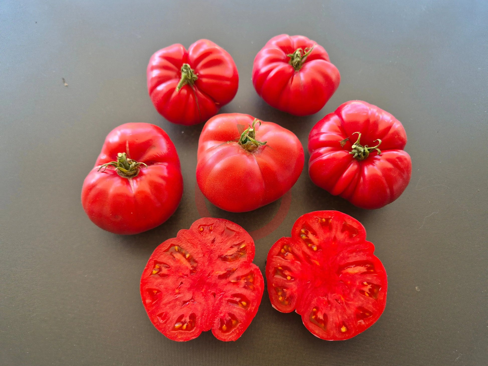 Black Mountain Pink DER TOMATENFLÜSTERER