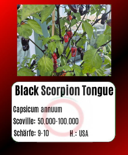 Black Scorpion Tongue DER TOMATENFLÜSTERER