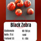 Black Zebra DER TOMATENFLÜSTERER