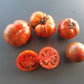 Black Zebra DER TOMATENFLÜSTERER