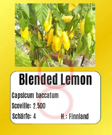 Blended Lemon DER TOMATENFLÜSTERER