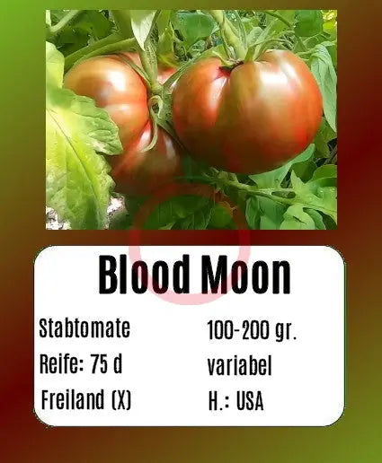 Blood Moon DER TOMATENFLÜSTERER