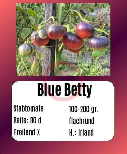 Blue Betty DER TOMATENFLÜSTERER