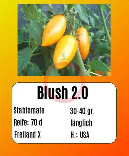 Blush 2.0 DER TOMATENFLÜSTERER