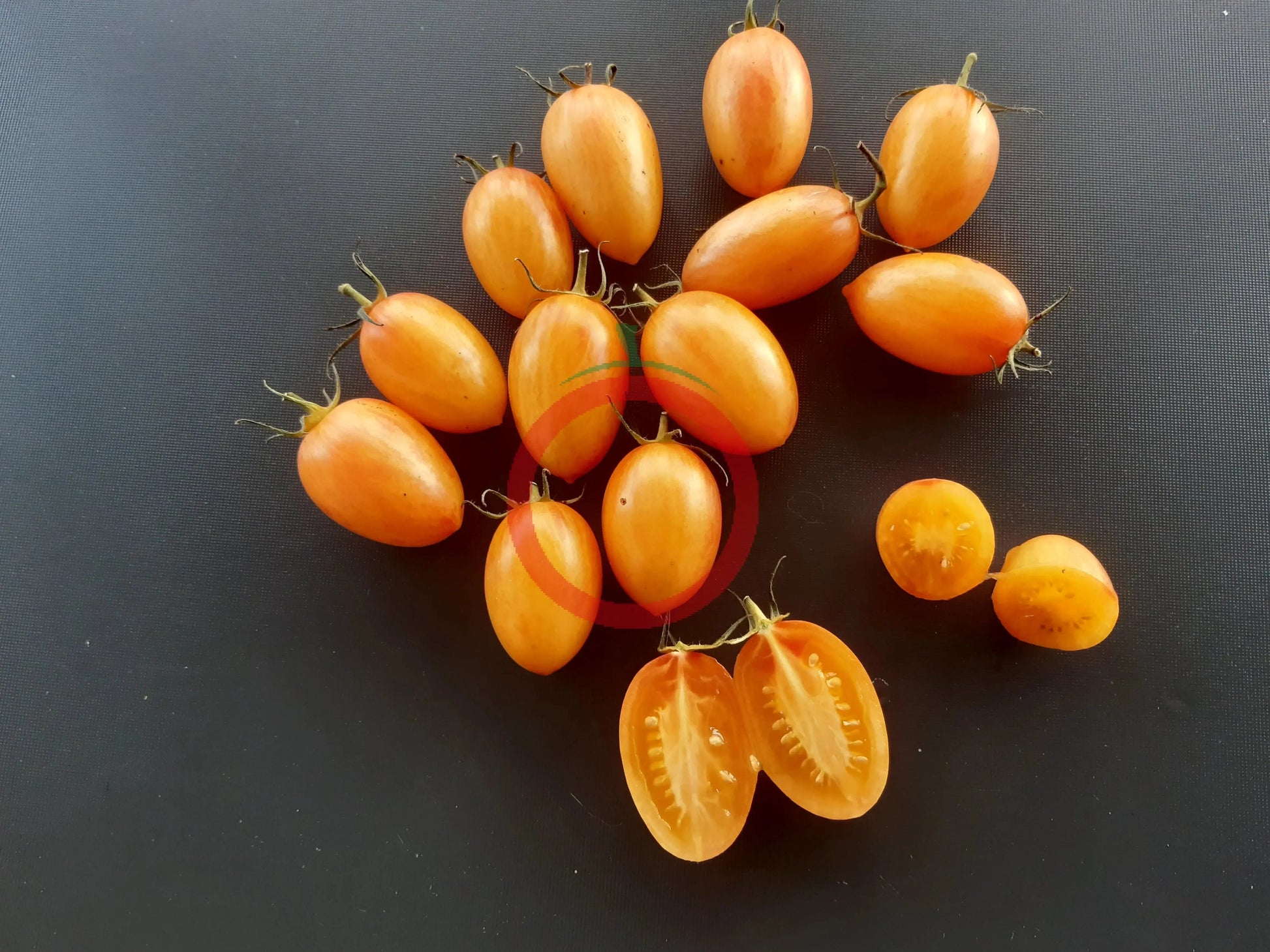 Blush DER TOMATENFLÜSTERER