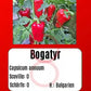 Bogatyr DER TOMATENFLÜSTERER