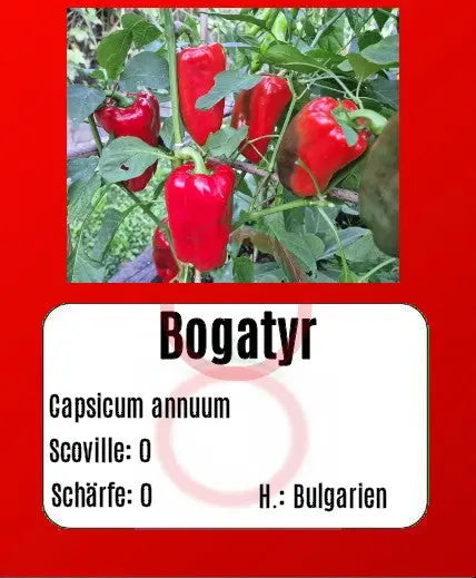 Bogatyr DER TOMATENFLÜSTERER