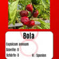 Bola DER TOMATENFLÜSTERER