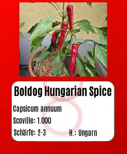 Boldog Hungarian Spice DER TOMATENFLÜSTERER