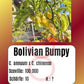Bolivian Bumpy DER TOMATENFLÜSTERER